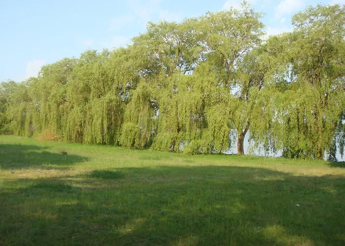 Hotel am Wariner See